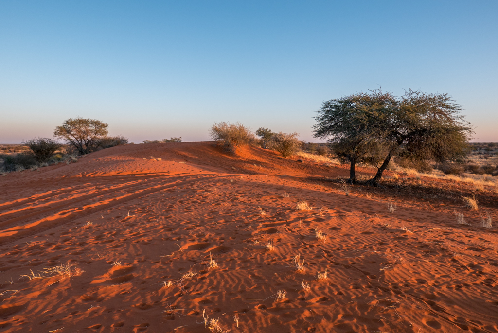 NAMIBIA – Il Deserto del Kalahari