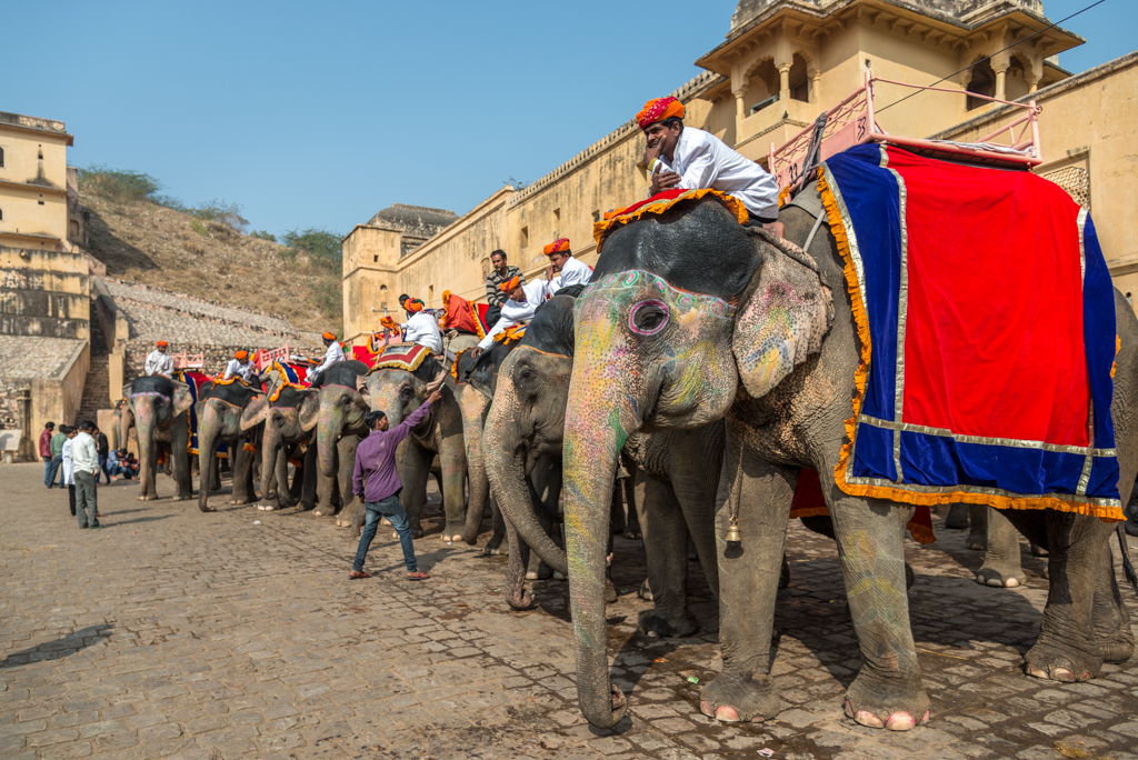 India – Visita dei forti & templi di Jaipur