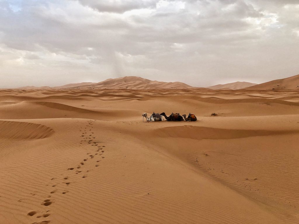Marocco, dormire una notte tra le dune di Erg Chebbi