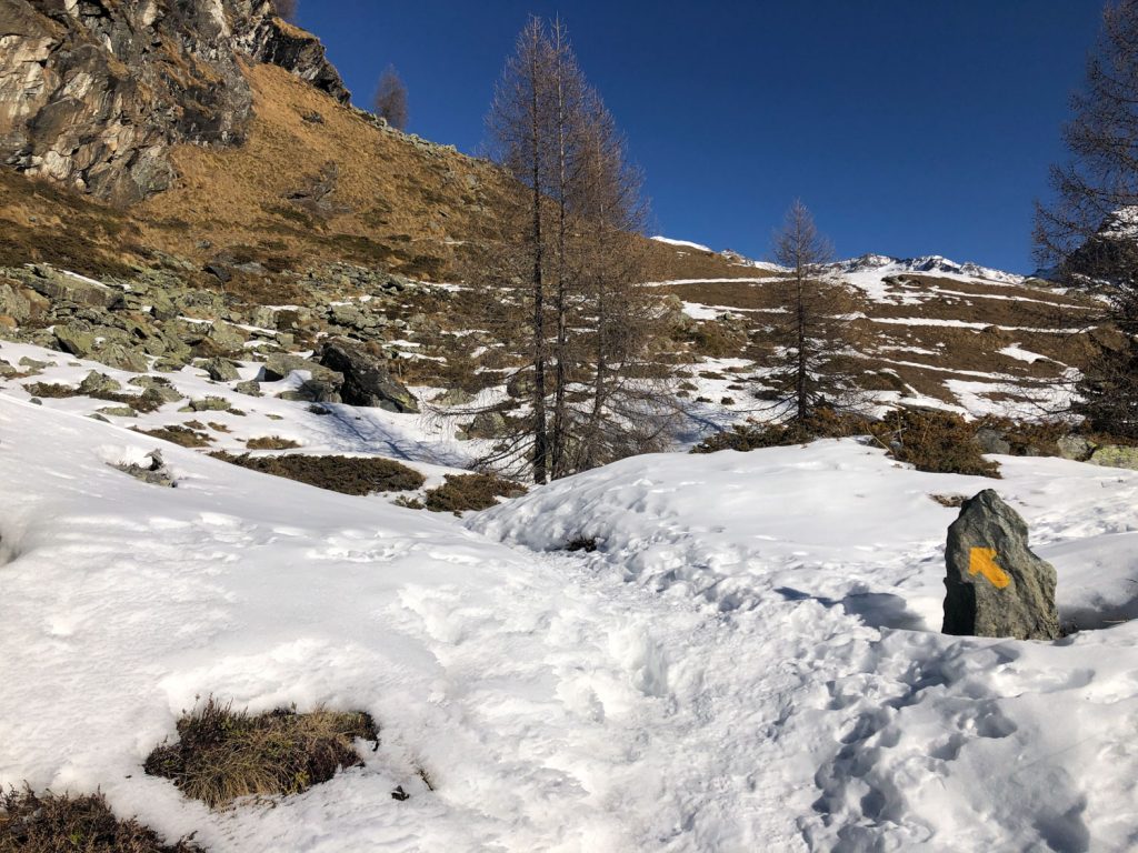 Val d'Ayas, Alpe di Ceucca