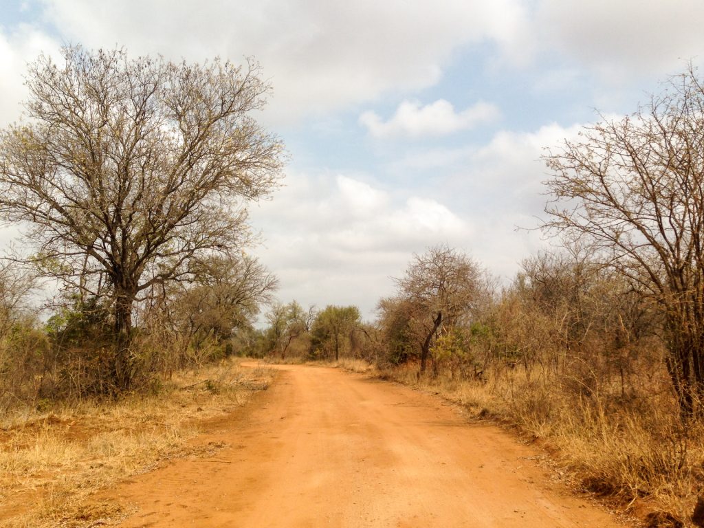 Safari al Karongwe Game Reserve
