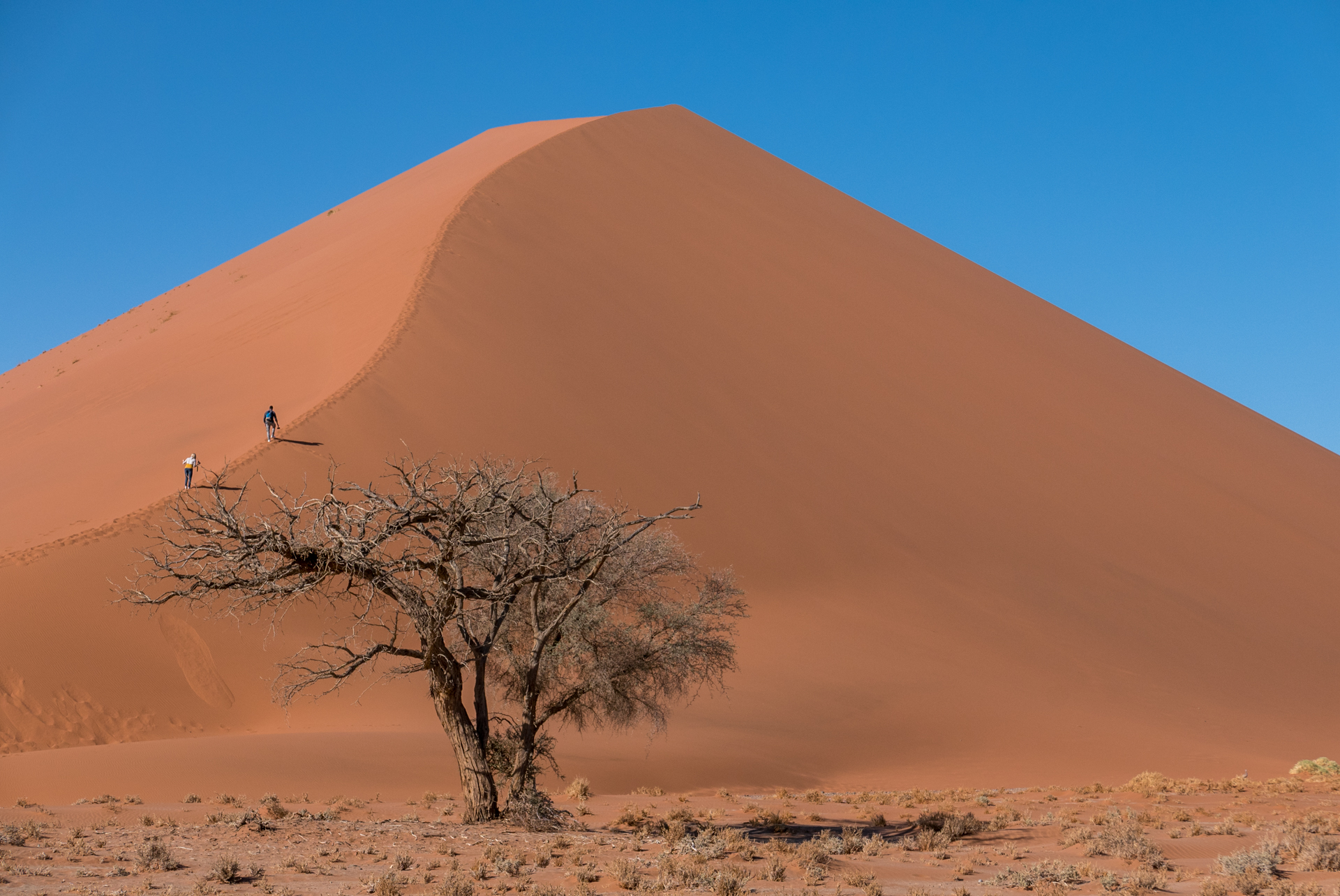 NAMIBIA: Sossusvlei, Deadvlei & il Sesriem Canyon