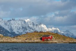 Norvegia, a caccia di aquile di mare & merluzzi