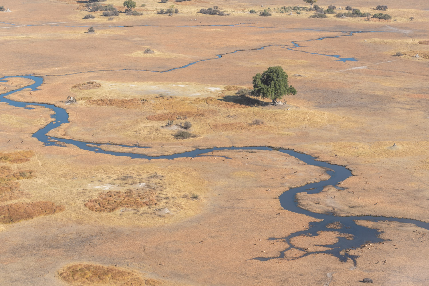 Botswana, in viaggio nella terra degli elefanti