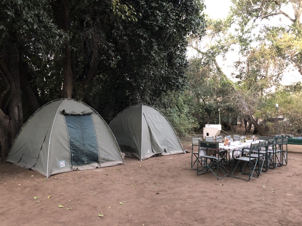 Camping, Chobe River Front