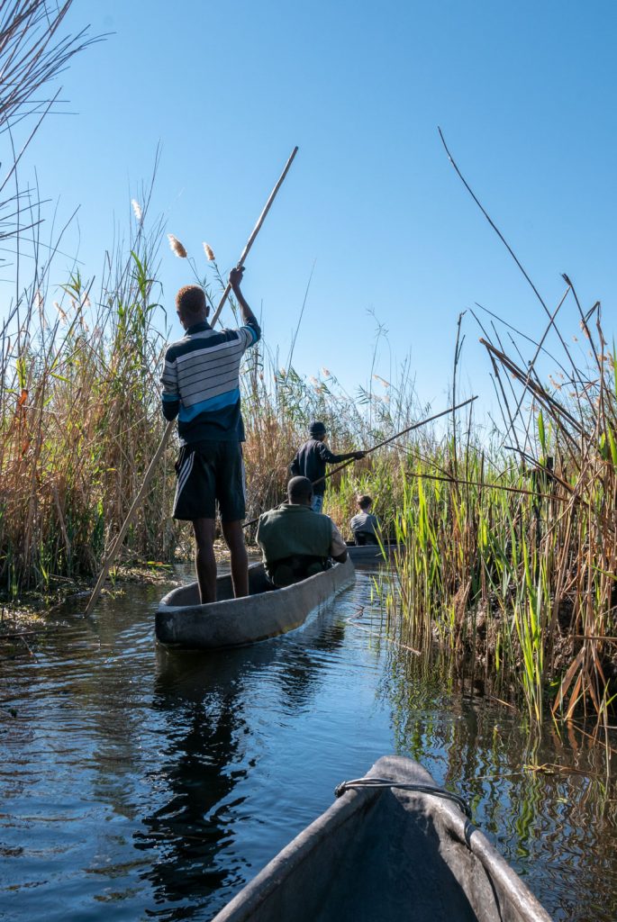 Delta dell'Okavango