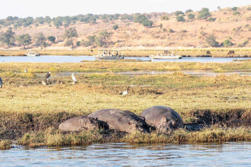 Parco Nazionale del Chobe