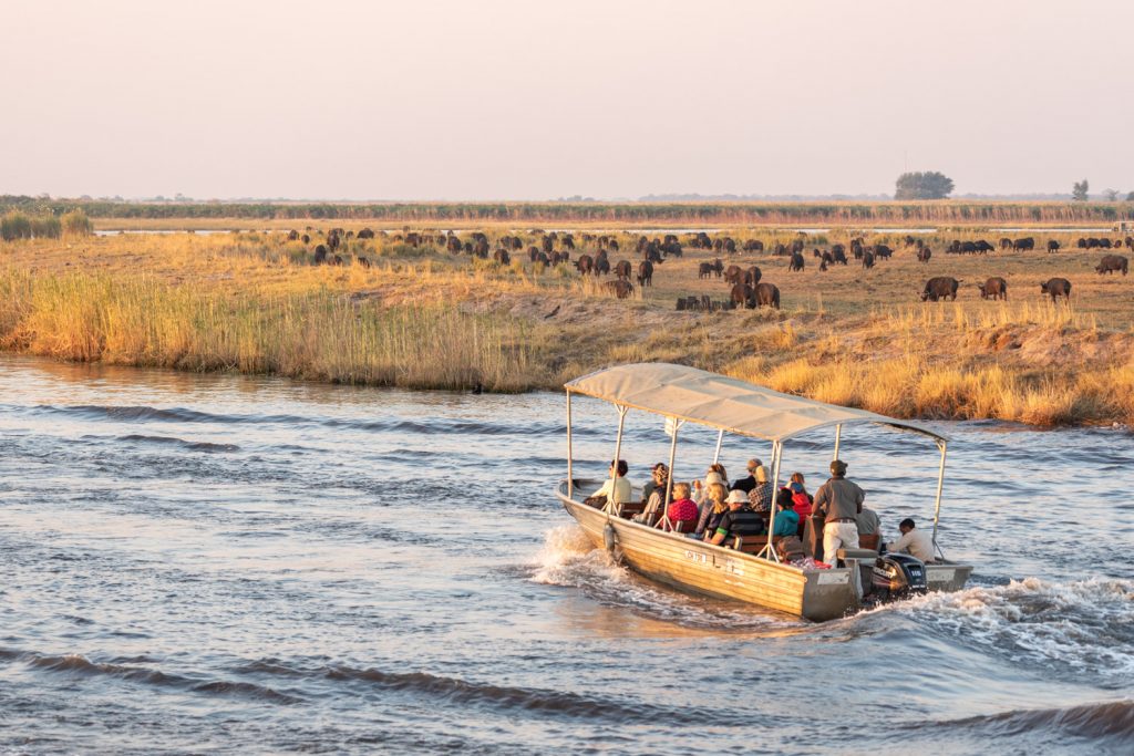 Parco Nazionale del Chobe