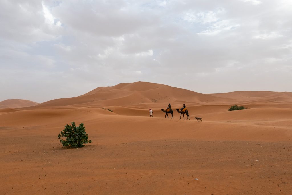 Marocco, deserto Erg Chebbi 