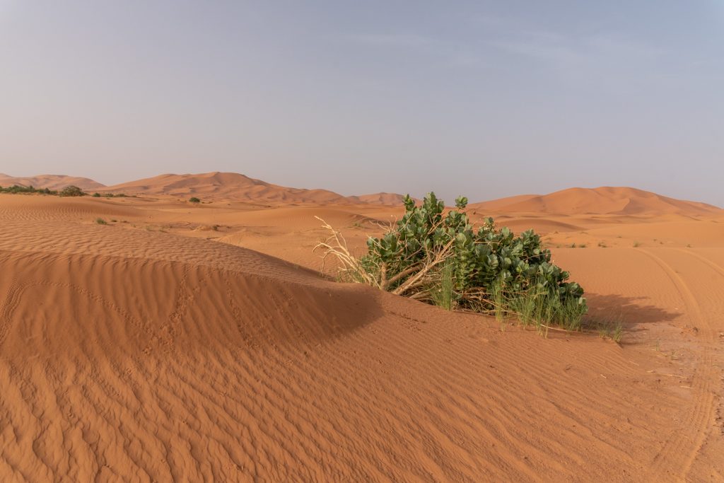 Marocco, deserto di Erg Chebbi