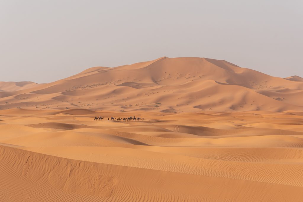 Marocco, deserto di Erg Chebbi