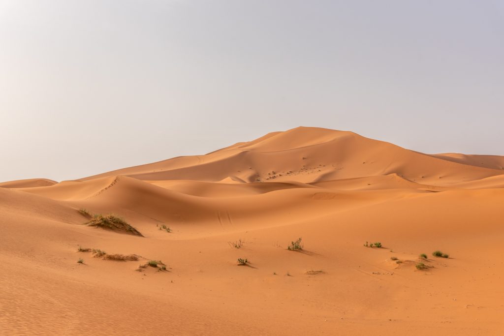 Marocco, deserto di Erg Chebbi
