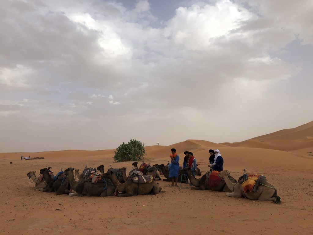 Marocco, deserto di Erg Chebbi