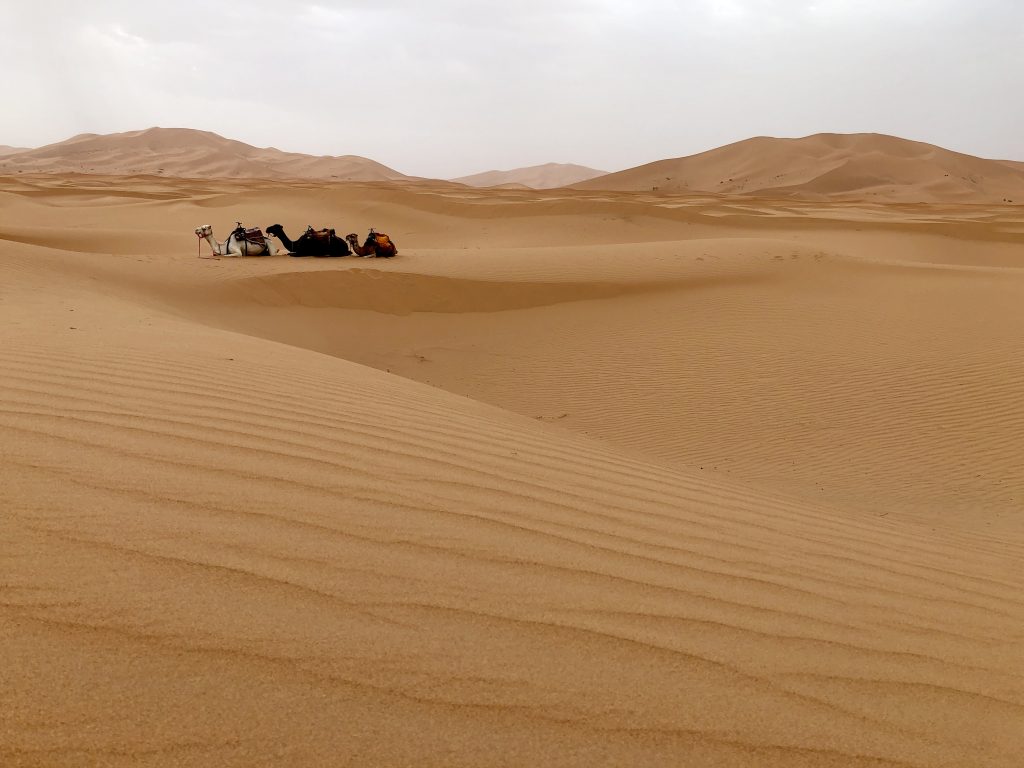 Marocco, deserto di Erg Chebbi