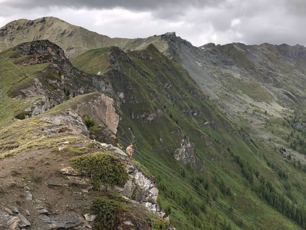 Valle d'Aosta, Ru Courthoud