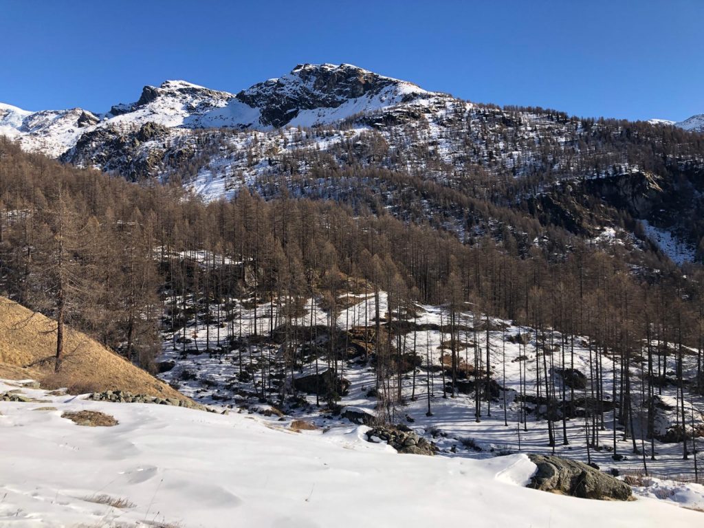 Val d'Ayas, Alpe Vatzé