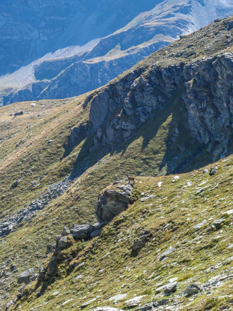 VAL D'AYAS - Gran Tournalin, Lago Verde e Monte Croce