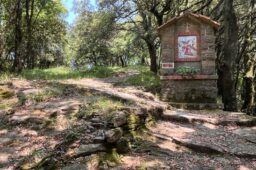 Da Chiavari al Santuario di Montallegro: un cammino tra natura, storia e spiritualità