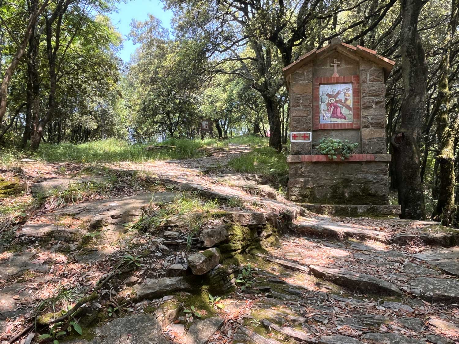 Da Chiavari al Santuario di Montallegro: un cammino tra natura, storia e spiritualità