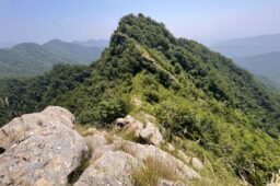 Trekking da Montallegro a Ruta di Camogli passando per Manico del Lume