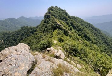 Trekking da Montallegro a Ruta di Camogli passando per Manico del Lume