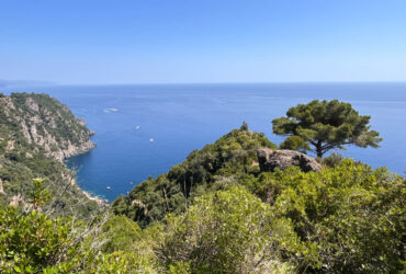 A piedi da San Fruttuoso a Portofino: un’immersione nel cuore del Parco
