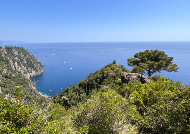 A piedi da San Fruttuoso a Portofino: un’immersione nel cuore del Parco